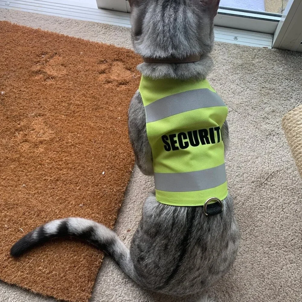 Security Vest Reflective Pet Harness Cat Dog